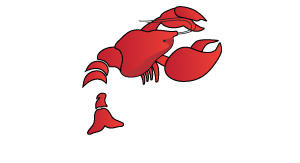 Arbaah – Australian Redclaw Breeding & Aquaculture Hatchery